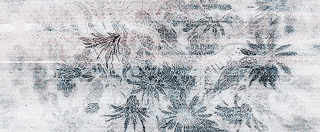 a close up of a painting of flowers and leaves on a wall .