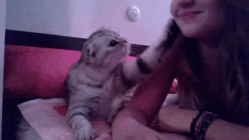a woman petting a cat on a bed with a pink blanket