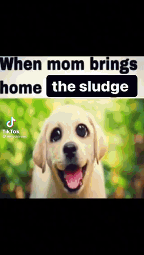 Sludge Mom GIF - Sludge Mom Home GIFs