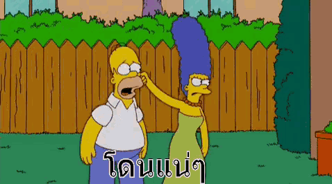 homer simpson and marge simpson from the simpsons are fighting in front of a fence