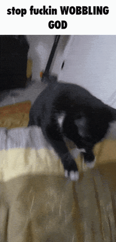 Wobble Wobble Cat GIF - Wobble Wobble Cat Caption GIFs