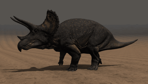 Kaperoo Triceratops GIF - Kaperoo Triceratops The Isle GIFs
