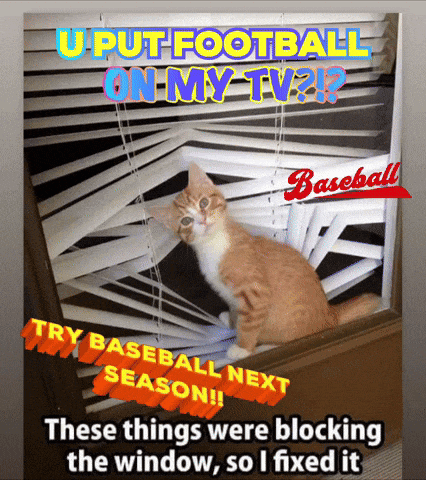 a cat is looking out of a window with the words " u put football on my tv ? "