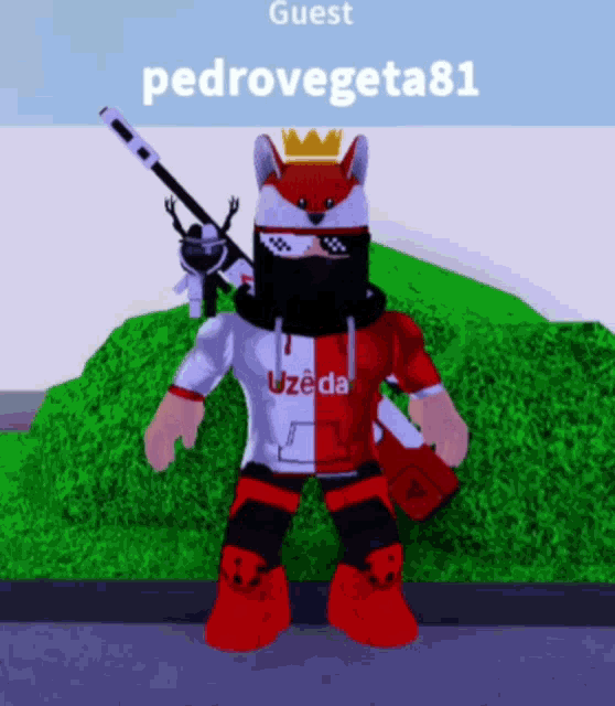 a cartoon character with the name guest pedrovegeta81 on it