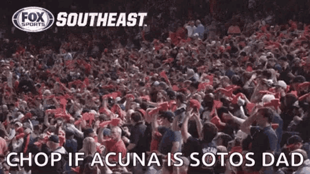 Atlanta Braves GIF - Atlanta Braves Acuna GIFs
