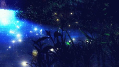 Night Firefly GIF - Night Firefly Water GIFs