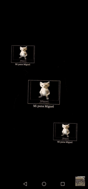 two cats are standing next to each other on a black background . one is white and the other is orange .