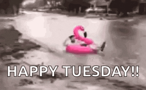 a person is riding a pink flamingo float in a river .