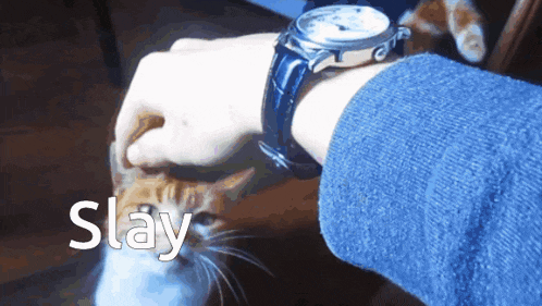 a person is petting a cat while wearing a watch and the word slay is on the bottom
