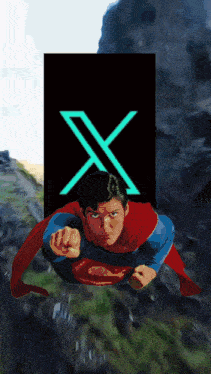 X X App GIF - X X App Xportal GIFs