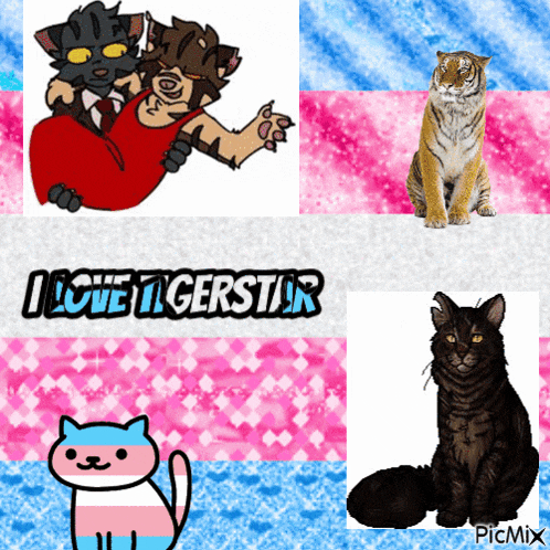 a collage of cats with the words i love tigerstir on top