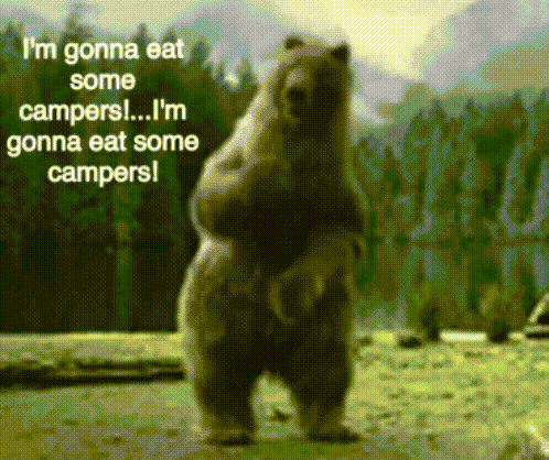 Bear Funny GIF - Bear Funny Dancing GIFs