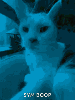 a close up of a cat 's face with the words sym boop on the bottom .
