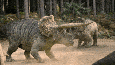 Prehistoric Planet 2 Triceratops GIF