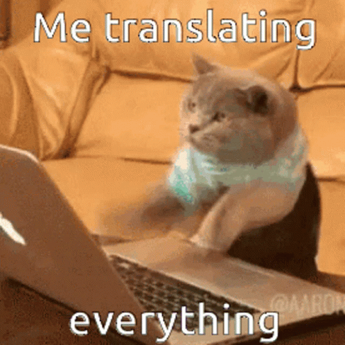 Me Translating Everything Cat Computer GIF - Me Translating Everything Cat Computer Translate GIFs