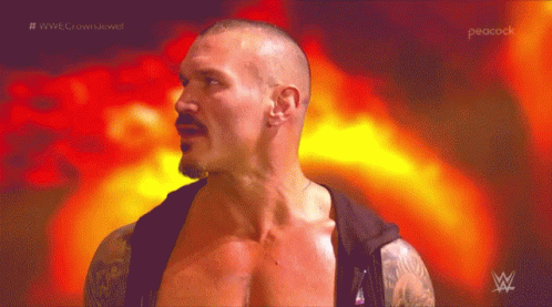 Randy Orton GIF - Randy Orton GIFs