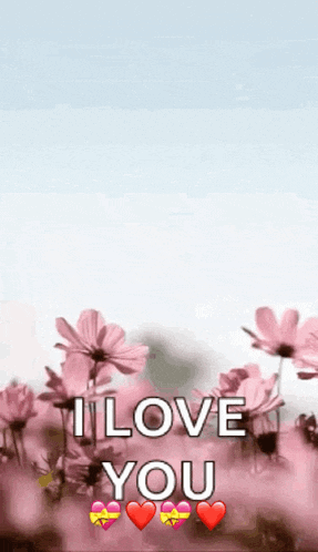 a picture of pink flowers with the words `` i love you '' written on it