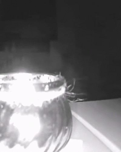 Spooky Curious GIF - Spooky Curious Watching GIFs