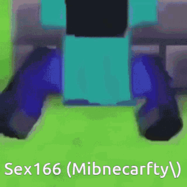 a picture of a minecraft character with the text sex 166