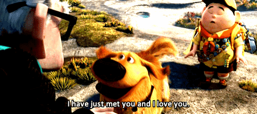a cartoon character says " i have just met you and i love you " in front of a dog