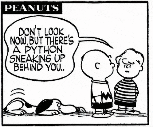 a black and white peanuts comic shows charlie brown and snoopy