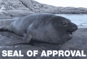 seal-of-approval-meme.gif