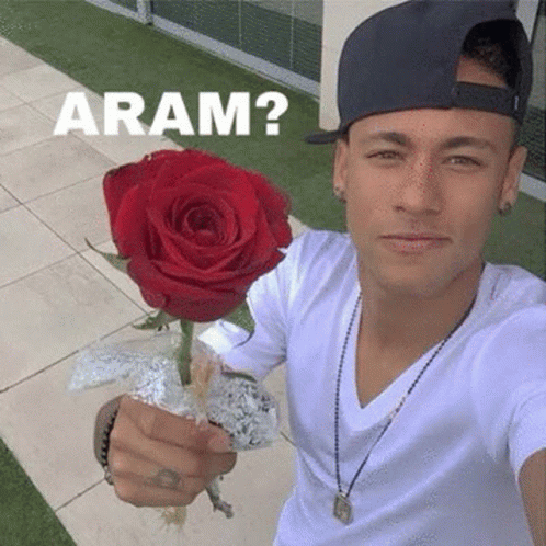 Neymar Aram GIF - Neymar Aram GIFs