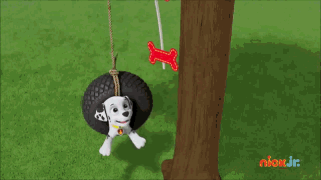 a dalmatian dog sitting on a tire swing with a bone in its mouth .