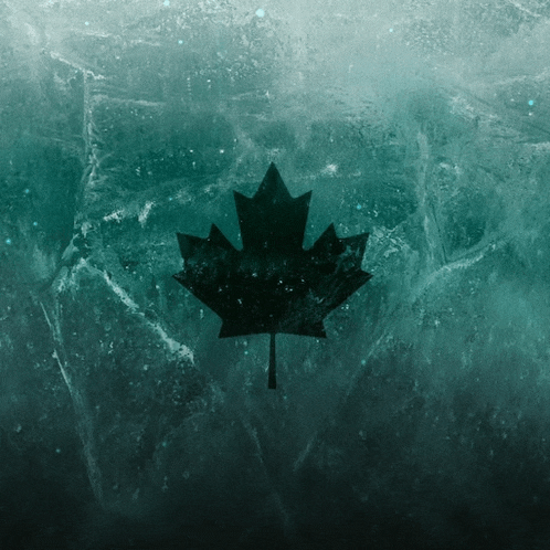 a silhouette of a maple leaf against a blue background