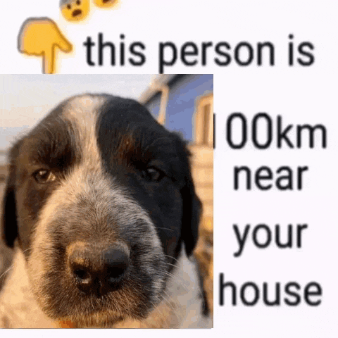 a black and white dog is standing next to a sign that says `` this person is 00km near your house '' .