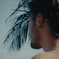a close up of a person 's face with a palm tree leaf in the foreground