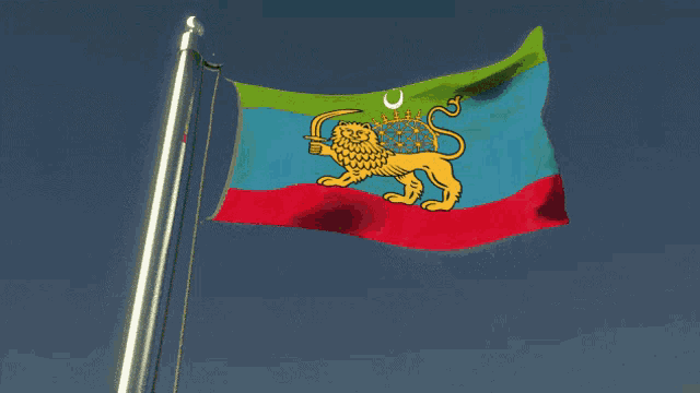 a flag that has a lion on it