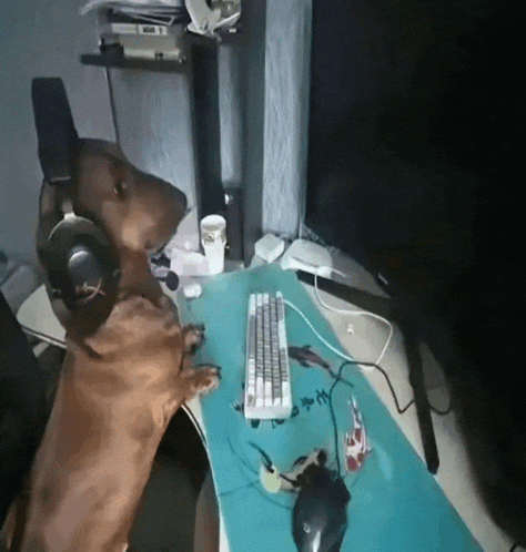 a dog wearing headphones sits at a desk next to a keyboard
