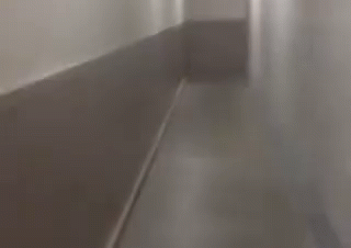 Scary Hallway GIF - Scary Hallway Horror GIFs