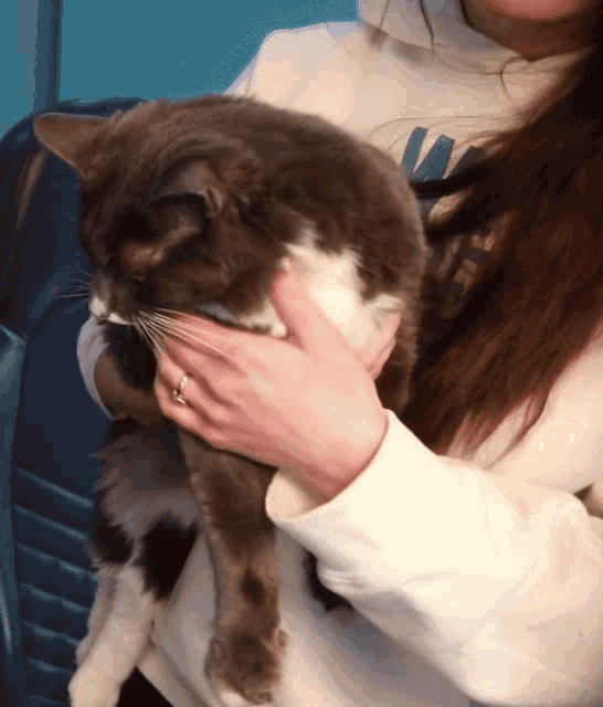 a woman is holding a cat in her arms and the cat is wearing a white sweatshirt that says va