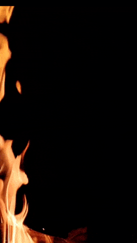 a poster for pandemonium anto with a skull and rose
