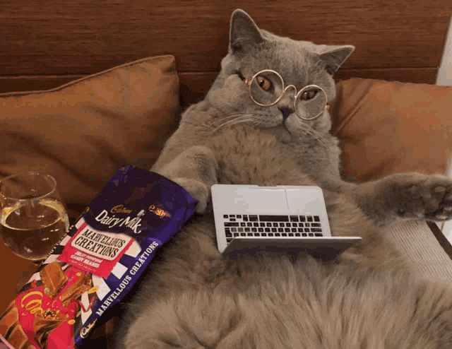a cat wearing glasses sits on a bed next to a bag of cadbury milk