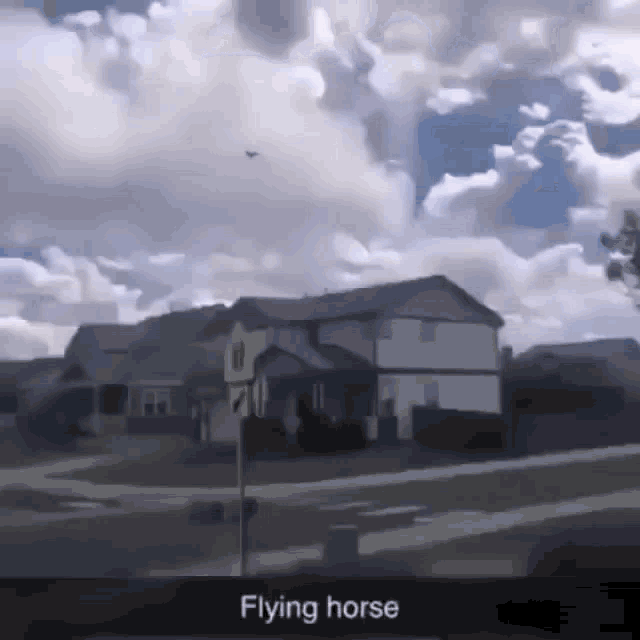 Flying Horse GIF - Flying Horse GIFs