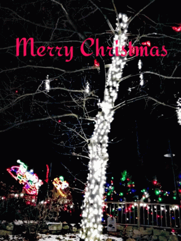 Merry Christmas Xmas GIF - Merry Christmas Xmas Tree GIFs