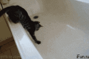 a cat is playing in a bathtub with the website fun.ru visible in the corner