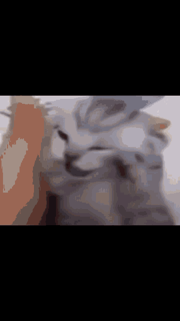 a blurred image of a person standing in the snow .