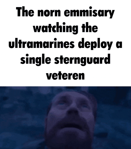 a man with a beard is watching the ultramarines deploy a single sternguard veteren .