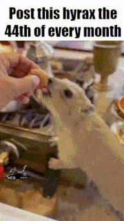 a person is feeding a dog a piece of food and the caption reads post this hyrax the 44th of every month .