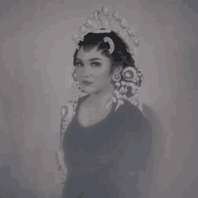 a woman in a black dress and a crown on her head is standing in the fog .