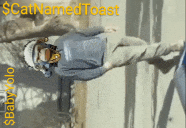 a cartoon of a man wearing a cat named toast