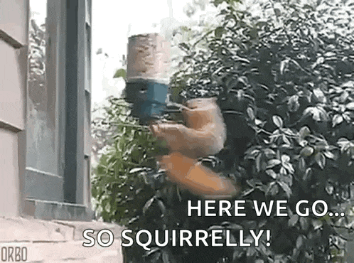 a squirrel is holding a bird feeder in its paws and says `` here we go so squirrelly ! ''