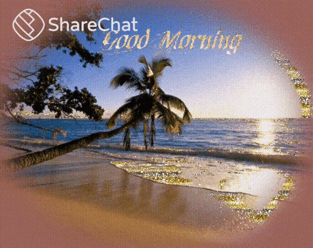 a picture of a beach with palm trees and the words " sharechat good morning "