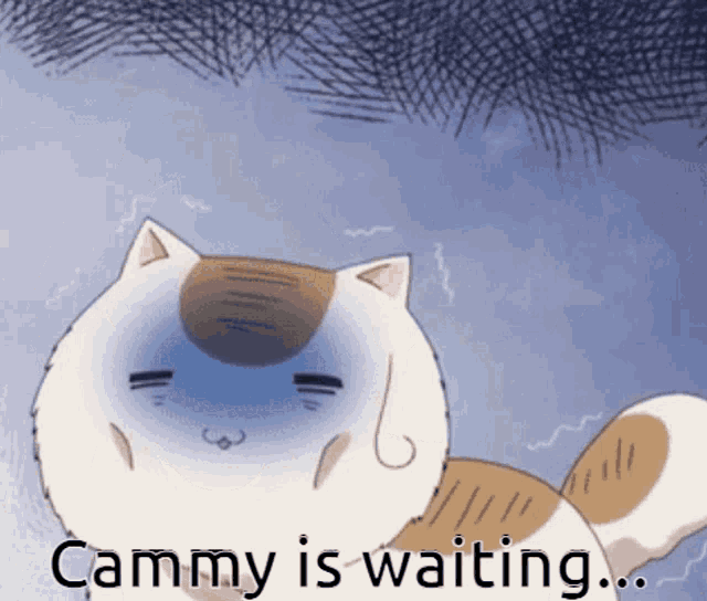a cartoon cat is laying down with the words cammy is waiting below it