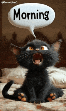 a black cat is sitting on a bed with a speech bubble saying morning