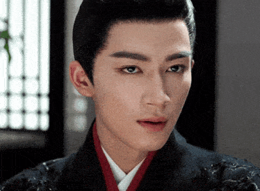 a close up of a man 's face wearing a black robe and a red collar